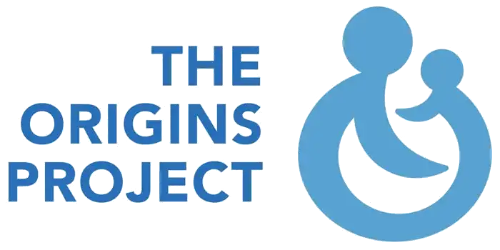 The Origins Project The Origins Project